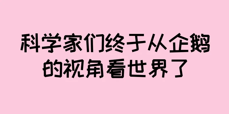 科学家们终于从企鹅的视角看世界了
