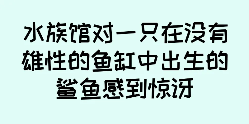 水族馆对一只在没有雄性的鱼缸中出生的鲨鱼感到惊讶
