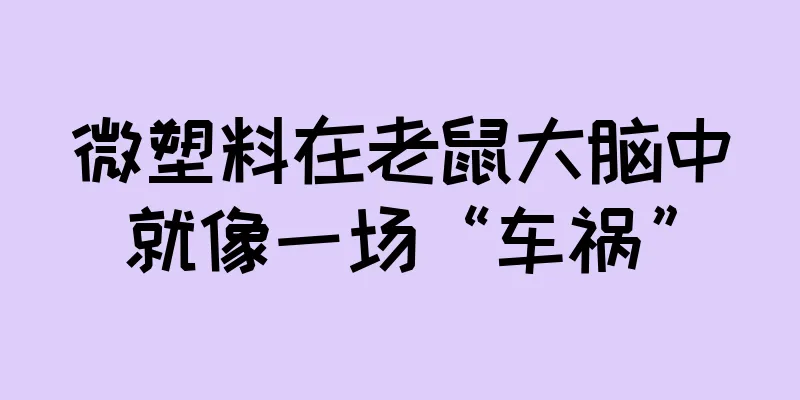 微塑料在老鼠大脑中就像一场“车祸”