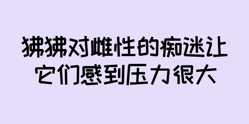 狒狒对雌性的痴迷让它们感到压力很大
