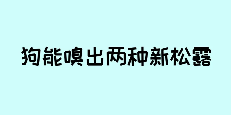 狗能嗅出两种新松露