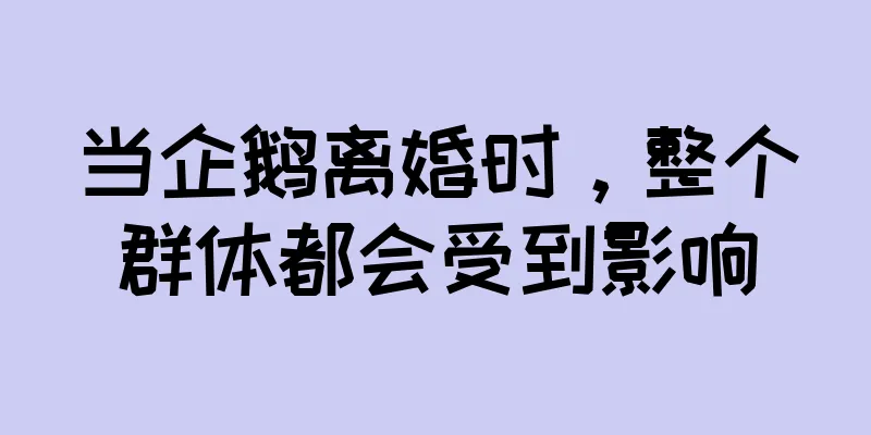 当企鹅离婚时，整个群体都会受到影响