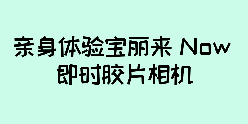 亲身体验宝丽来 Now 即时胶片相机
