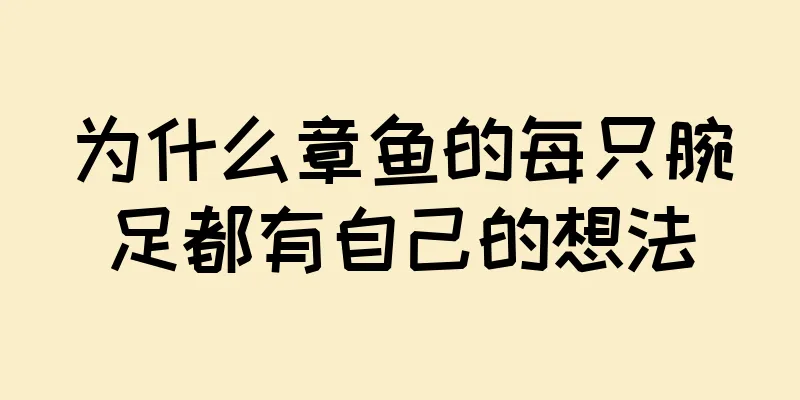 为什么章鱼的每只腕足都有自己的想法