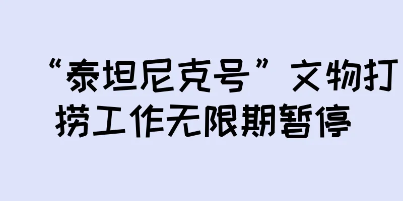 “泰坦尼克号”文物打捞工作无限期暂停