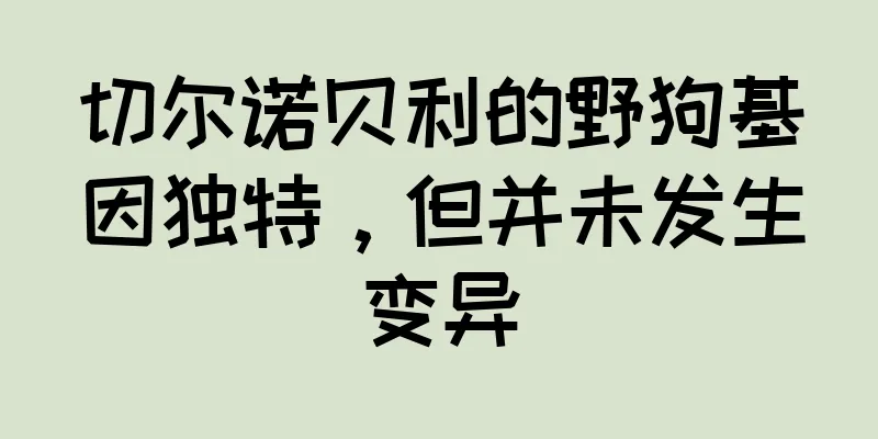切尔诺贝利的野狗基因独特，但并未发生变异
