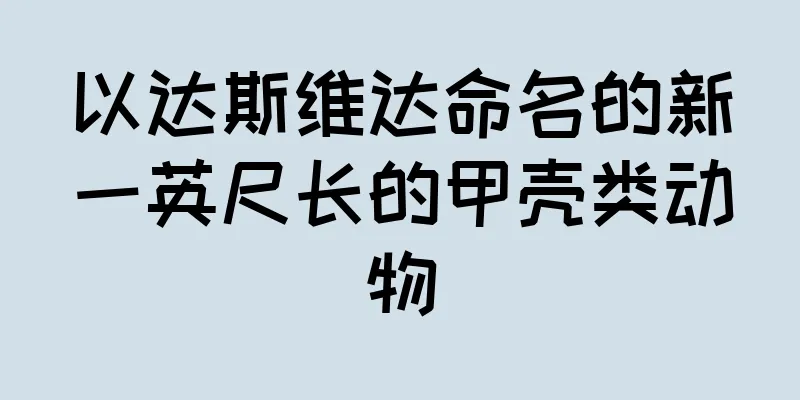 以达斯维达命名的新一英尺长的甲壳类动物