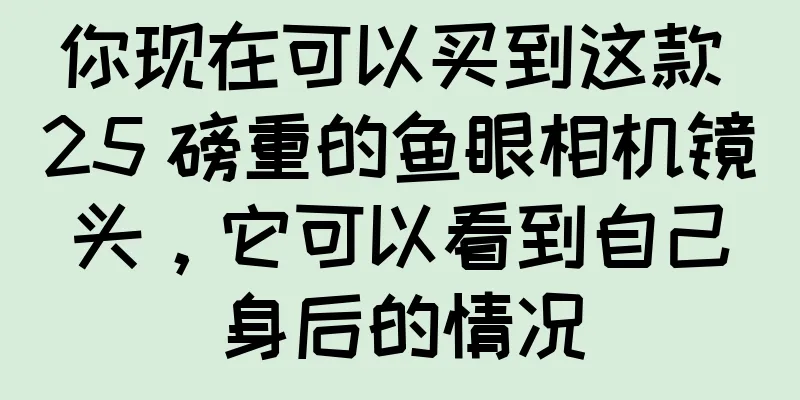 你现在可以买到这款 25 磅重的鱼眼相机镜头，它可以看到自己身后的情况