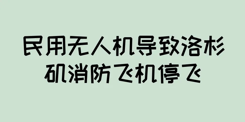 民用无人机导致洛杉矶消防飞机停飞