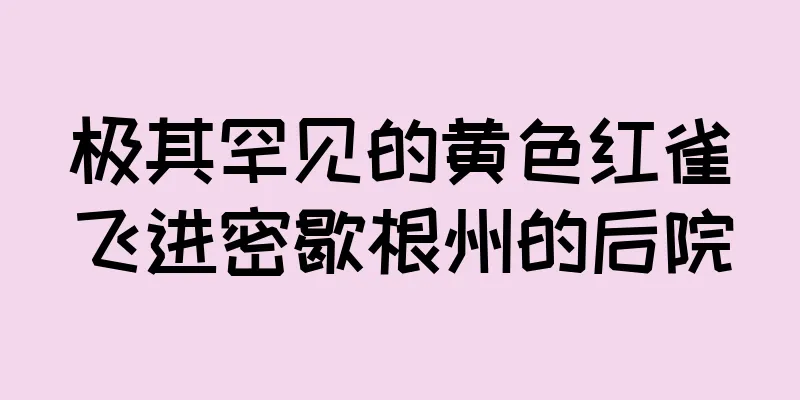 极其罕见的黄色红雀飞进密歇根州的后院