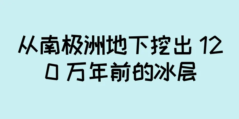 从南极洲地下挖出 120 万年前的冰层