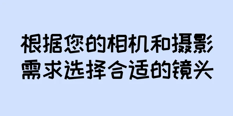 根据您的相机和摄影需求选择合适的镜头