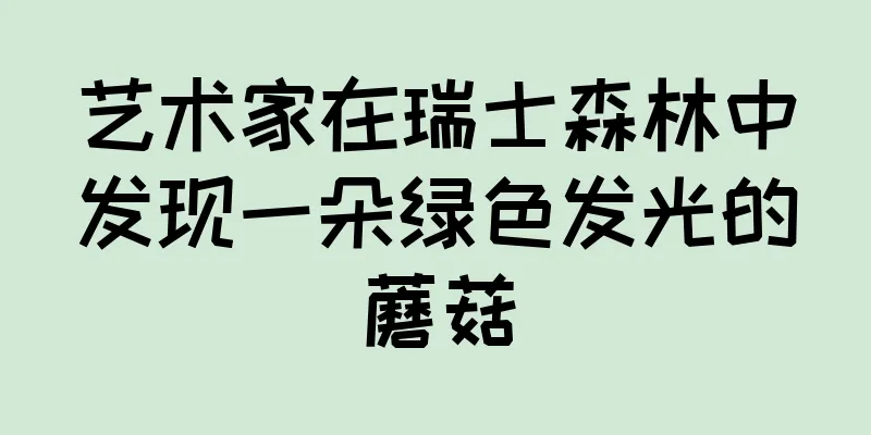 艺术家在瑞士森林中发现一朵绿色发光的蘑菇