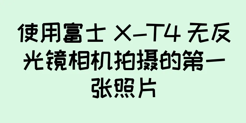 使用富士 X-T4 无反光镜相机拍摄的第一张照片