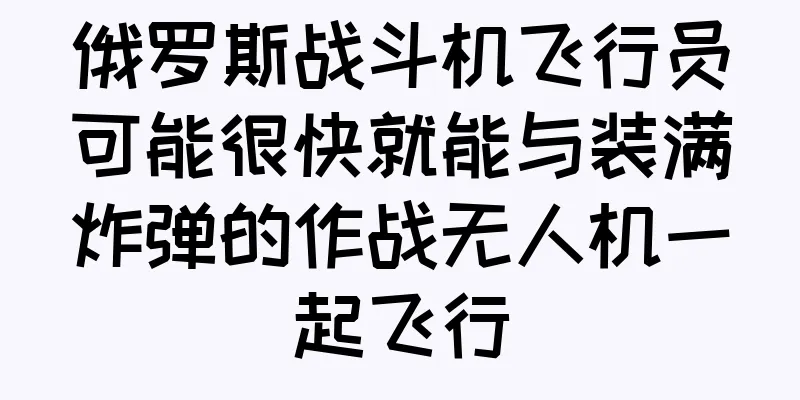 俄罗斯战斗机飞行员可能很快就能与装满炸弹的作战无人机一起飞行
