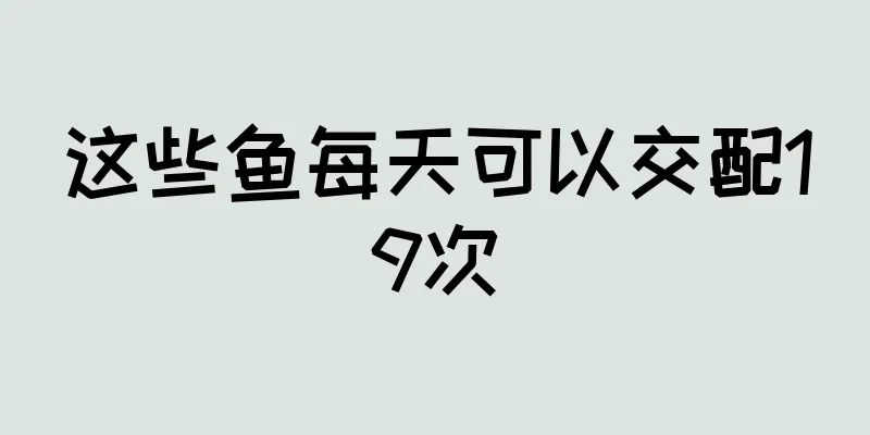 这些鱼每天可以交配19次