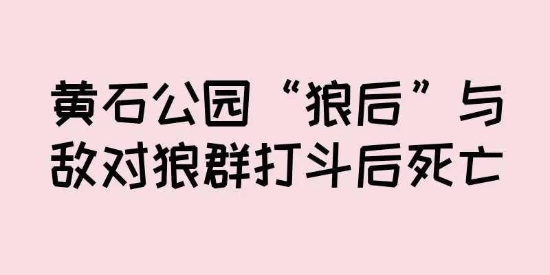 黄石公园“狼后”与敌对狼群打斗后死亡