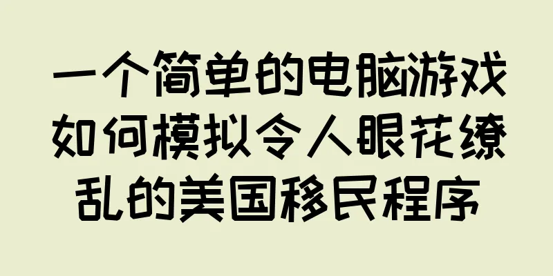 一个简单的电脑游戏如何模拟令人眼花缭乱的美国移民程序