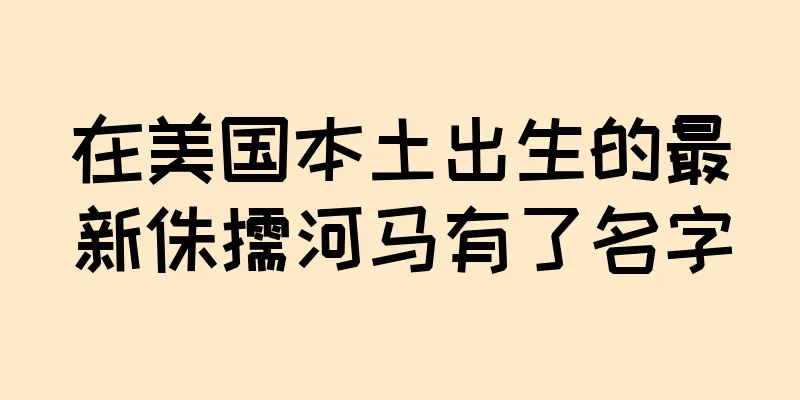 在美国本土出生的最新侏儒河马有了名字