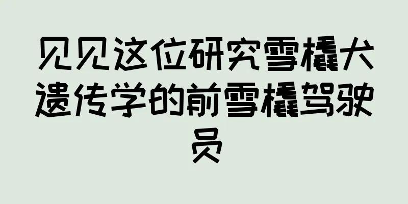见见这位研究雪橇犬遗传学的前雪橇驾驶员