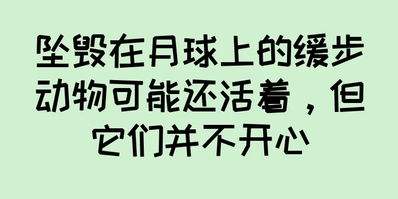 坠毁在月球上的缓步动物可能还活着，但它们并不开心
