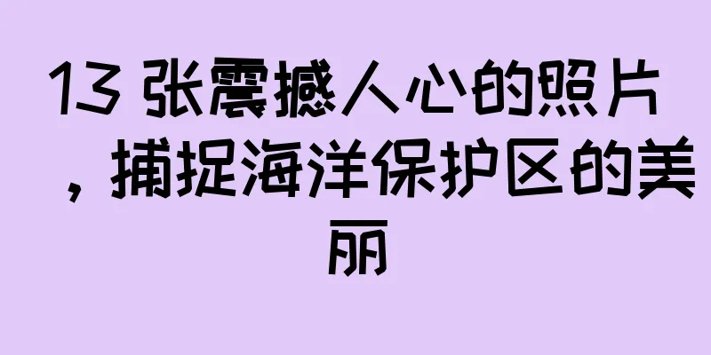 13 张震撼人心的照片，捕捉海洋保护区的美丽