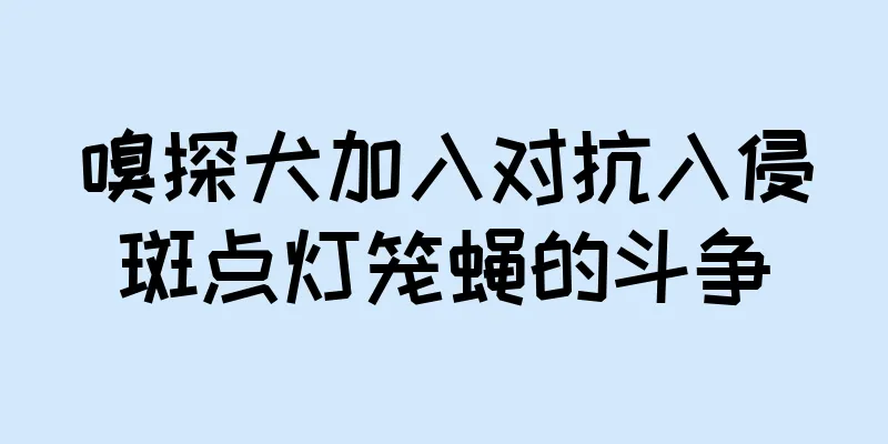 嗅探犬加入对抗入侵斑点灯笼蝇的斗争
