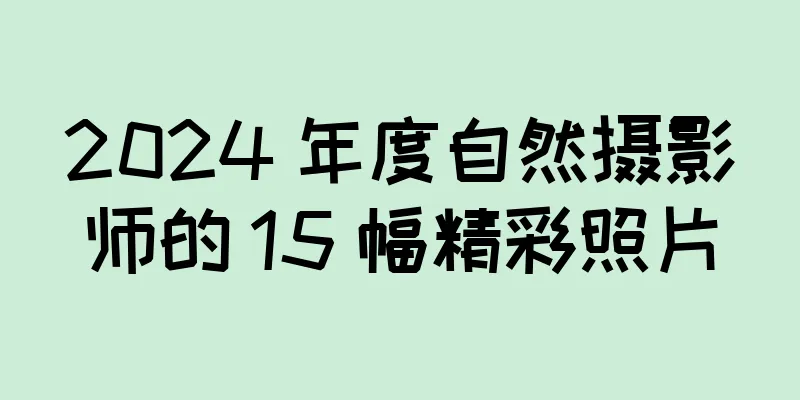 2024 年度自然摄影师的 15 幅精彩照片