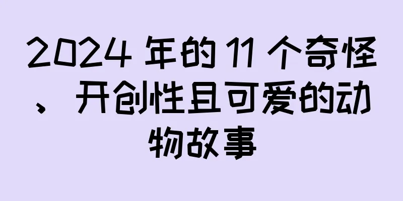 2024 年的 11 个奇怪、开创性且可爱的动物故事