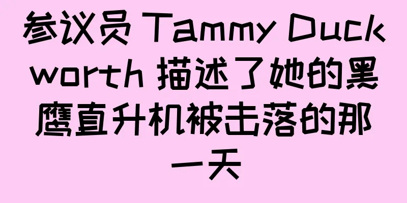 参议员 Tammy Duckworth 描述了她的黑鹰直升机被击落的那一天