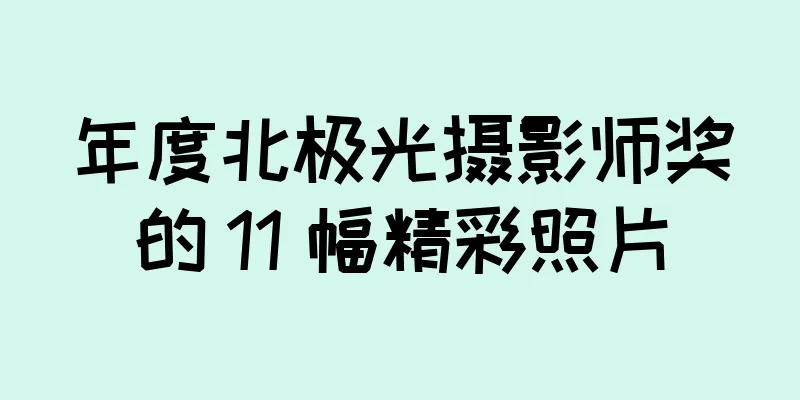 年度北极光摄影师奖的 11 幅精彩照片