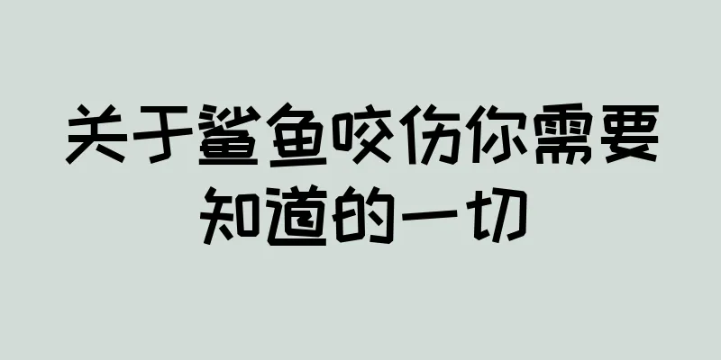 关于鲨鱼咬伤你需要知道的一切