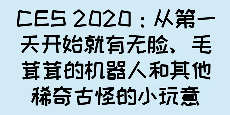 CES 2020：从第一天开始就有无脸、毛茸茸的机器人和其他稀奇古怪的小玩意