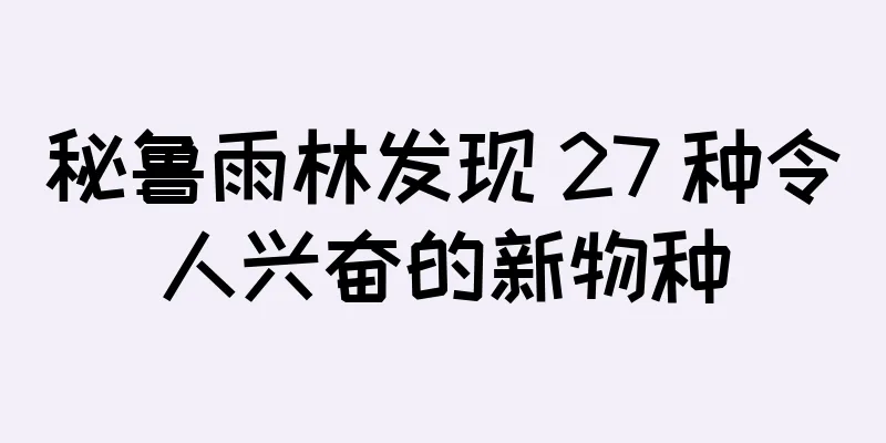 秘鲁雨林发现 27 种令人兴奋的新物种