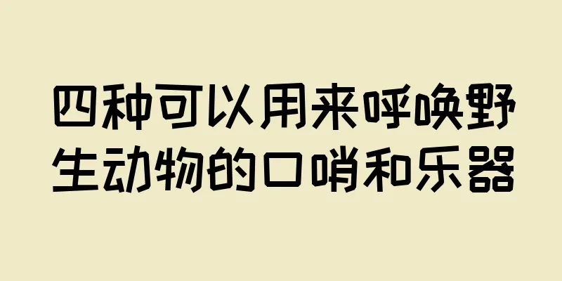 四种可以用来呼唤野生动物的口哨和乐器