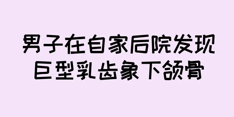 男子在自家后院发现巨型乳齿象下颌骨