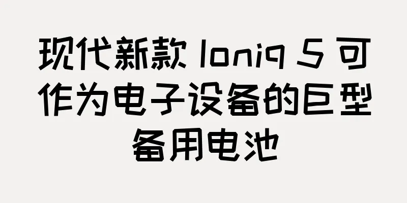 现代新款 Ioniq 5 可作为电子设备的巨型备用电池