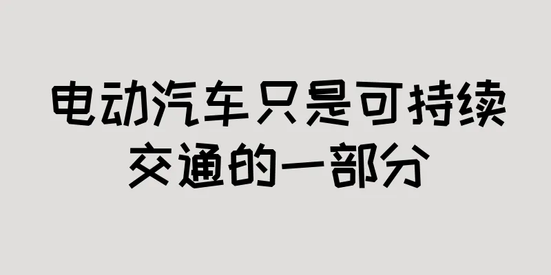 电动汽车只是可持续交通的一部分