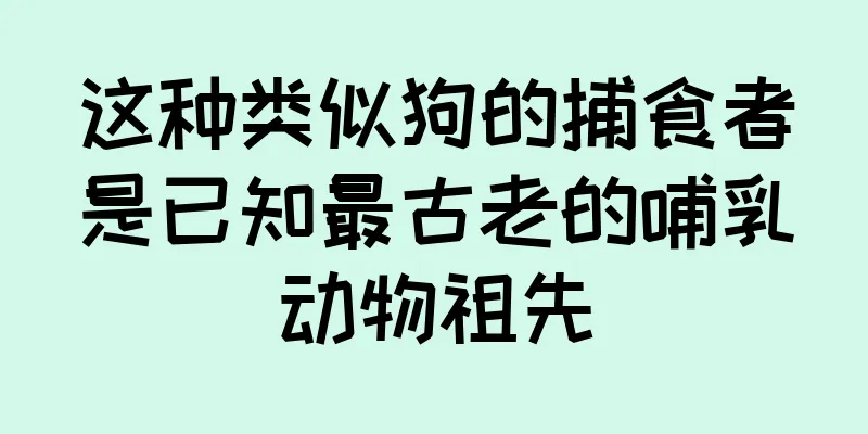 这种类似狗的捕食者是已知最古老的哺乳动物祖先