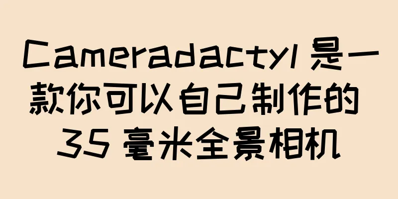 Cameradactyl 是一款你可以自己制作的 35 毫米全景相机