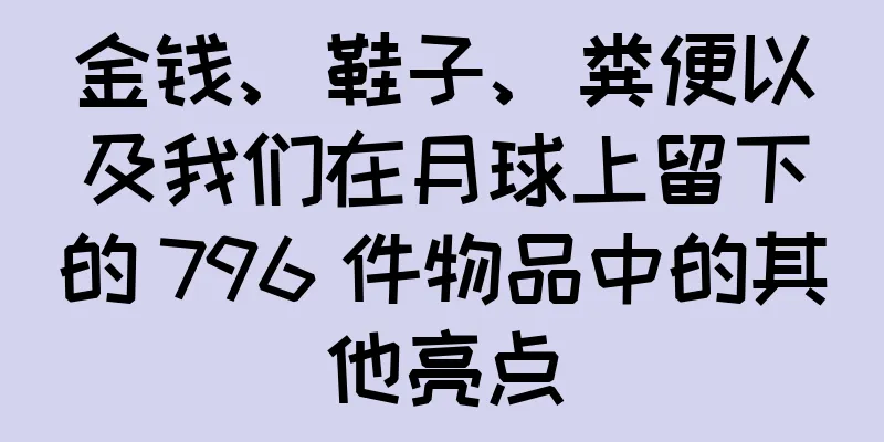 金钱、鞋子、粪便以及我们在月球上留下的 796 件物品中的其他亮点