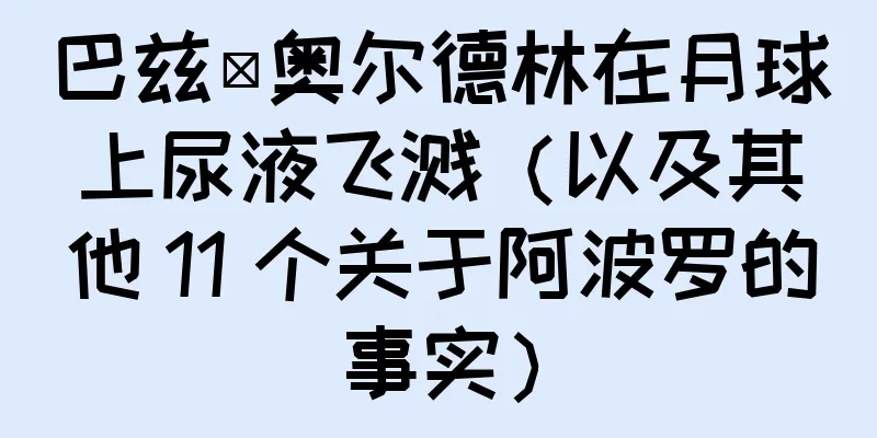 巴兹·奥尔德林在月球上尿液飞溅（以及其他 11 个关于阿波罗的事实）