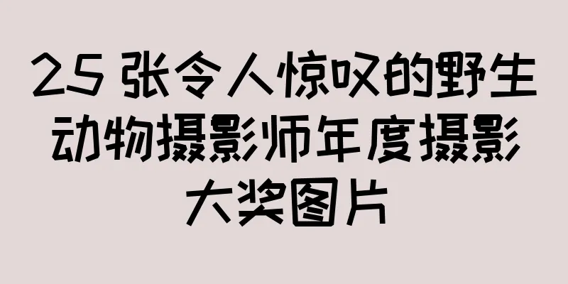 25 张令人惊叹的野生动物摄影师年度摄影大奖图片