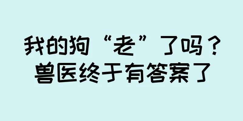 我的狗“老”了吗？兽医终于有答案了