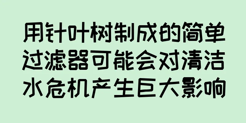 用针叶树制成的简单过滤器可能会对清洁水危机产生巨大影响