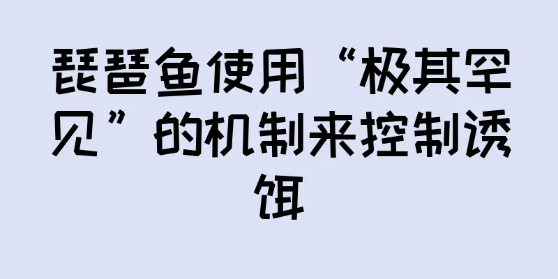 琵琶鱼使用“极其罕见”的机制来控制诱饵