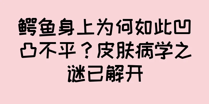 鳄鱼身上为何如此凹凸不平？皮肤病学之谜已解开