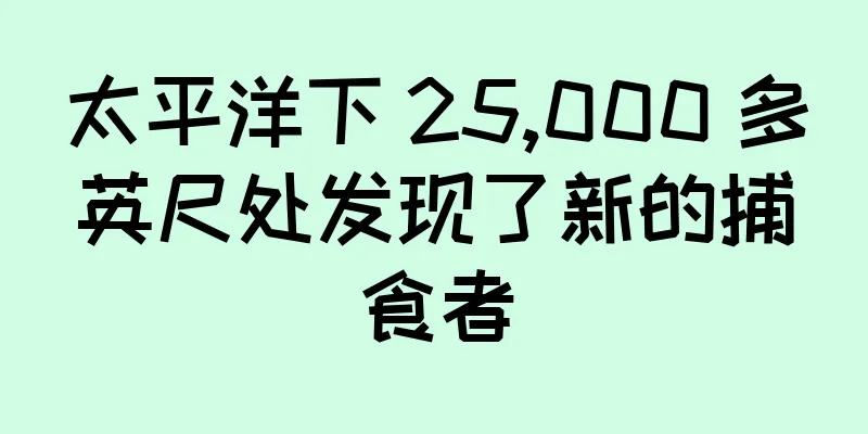 太平洋下 25,000 多英尺处发现了新的捕食者