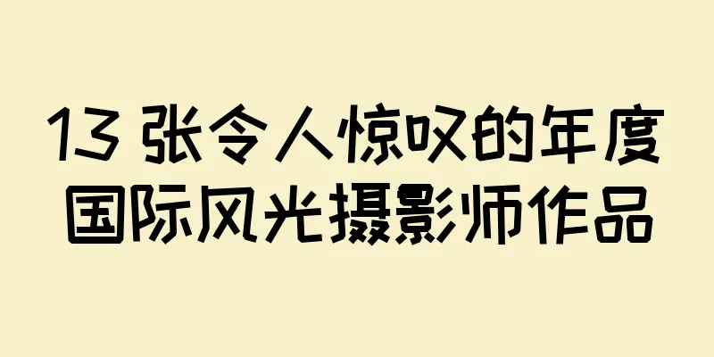 13 张令人惊叹的年度国际风光摄影师作品