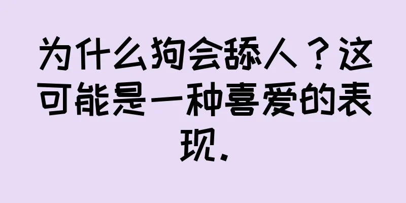为什么狗会舔人？这可能是一种喜爱的表现。